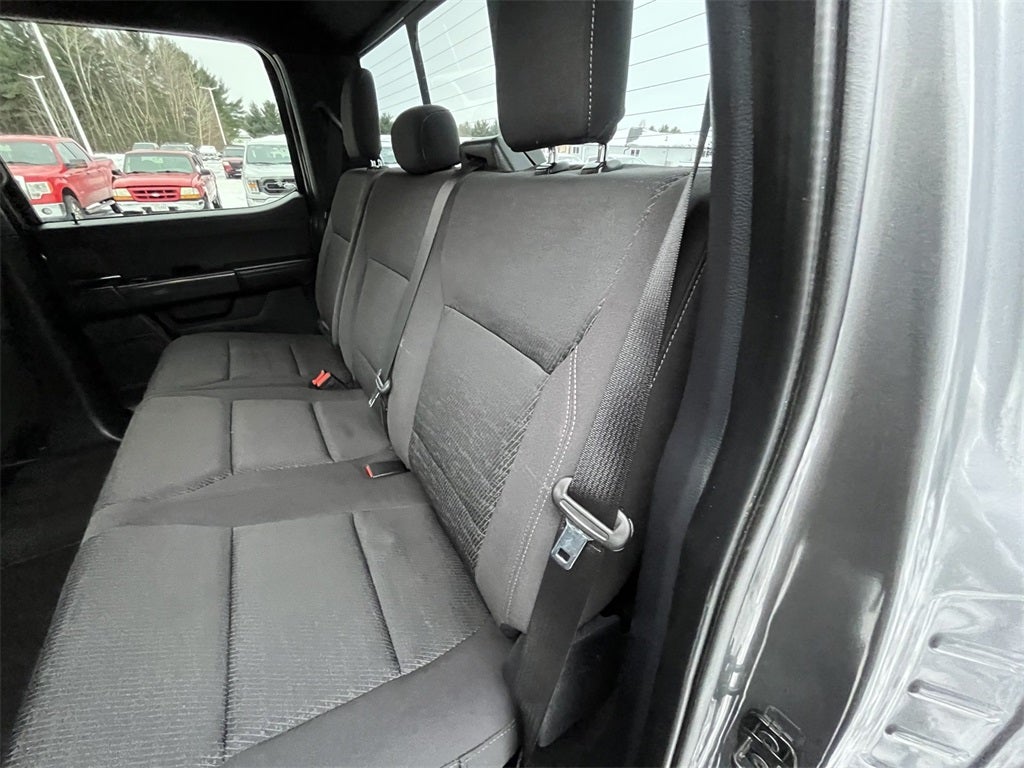 2024 Ford F-150 XLT 302A W/Black Appearance PKG Plus