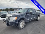 2009 Ford F-150 Platinum W/Max Tow Package