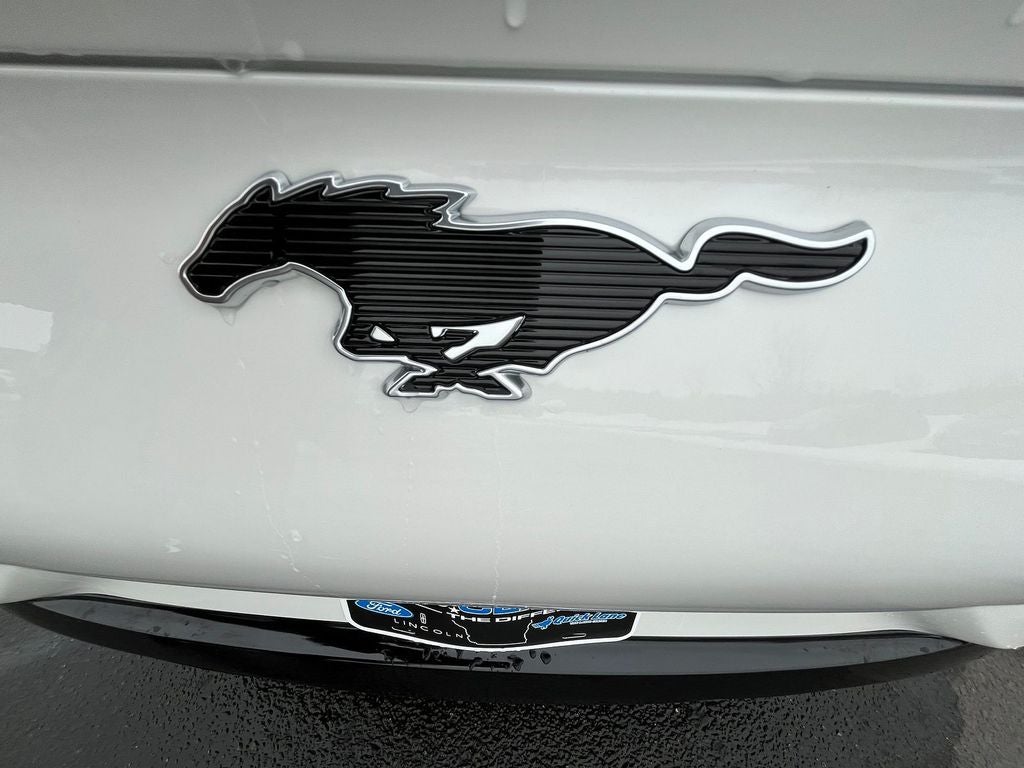 2024 Ford Mustang Mach-E Premium 300A